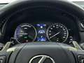 Lexus NX 300h AWD Luxury Edition Limited | Panoramadak | Trekhaa Gris - thumbnail 6
