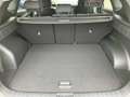 Hyundai TUCSON NX4 Jubile 1,6 T-GDi 2WD 48V Weiß - thumbnail 10