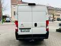 Citroen Jumper 2.0 BlueHDi L2H2 60.000KM 2019  AIRCO CAMERA 14000 Wit - thumbnail 14