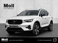 Volvo XC40 Plus Dark Recharge Plug-In Hybrid 2WD T4 Twin Engi Weiß - thumbnail 1