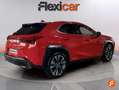 Lexus UX 250h Premium 4WD Rouge - thumbnail 8