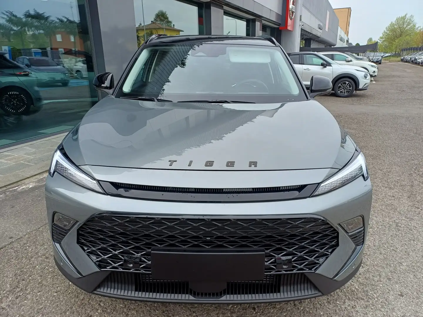 Tiger Six 1.5 GPL DCT Grau - 2