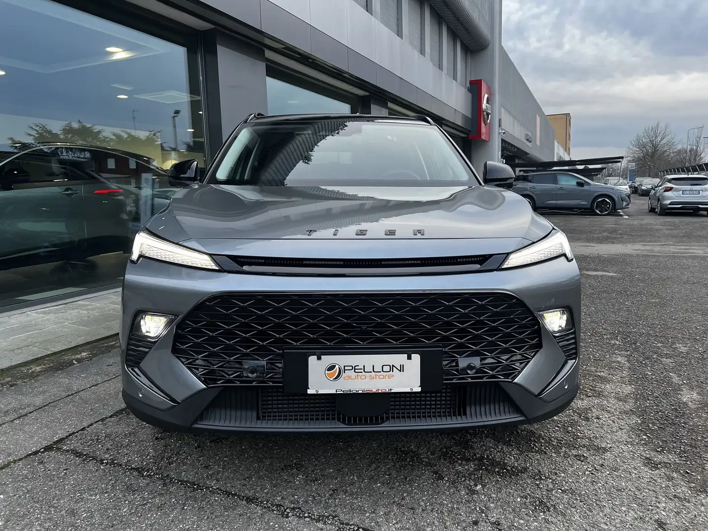 Tiger Six 1.5 GPL DCT Gris - 2