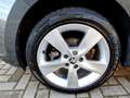 Skoda Rapid/Spaceback Spaceback 1.0 TSI Style Sitzhzg Klimaautoma Grau - thumbnail 14
