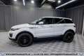 Land Rover Range Rover Evoque SE 2,0 TD4 Aut.*R-KAMERA*SHZ* Weiß - thumbnail 5