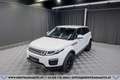 Land Rover Range Rover Evoque SE 2,0 TD4 Aut.*R-KAMERA*SHZ* Weiß - thumbnail 2