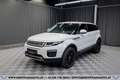 Land Rover Range Rover Evoque SE 2,0 TD4 Aut.*R-KAMERA*SHZ* Weiß - thumbnail 1