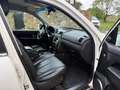 SsangYong Rexton Rexton 2.2 Diesel e-XDi 4WD+Leder+Navi+AHK+7 Sit Weiß - thumbnail 11