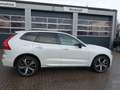 Volvo XC60 Plus B5 AWD/Four-C/AHK/HeadUp/360°Cam/Pano Weiß - thumbnail 8