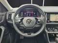 Skoda Kodiaq Style 2.0 TDI DSG AHK ACC LED Schwarz - thumbnail 19