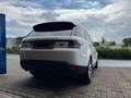 Land Rover Range Rover Sport HSE Dynamic*PANORAMA*21Zoll* Blanc - thumbnail 3