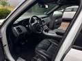 Land Rover Range Rover Sport HSE Dynamic*PANORAMA*21Zoll* Blanc - thumbnail 5
