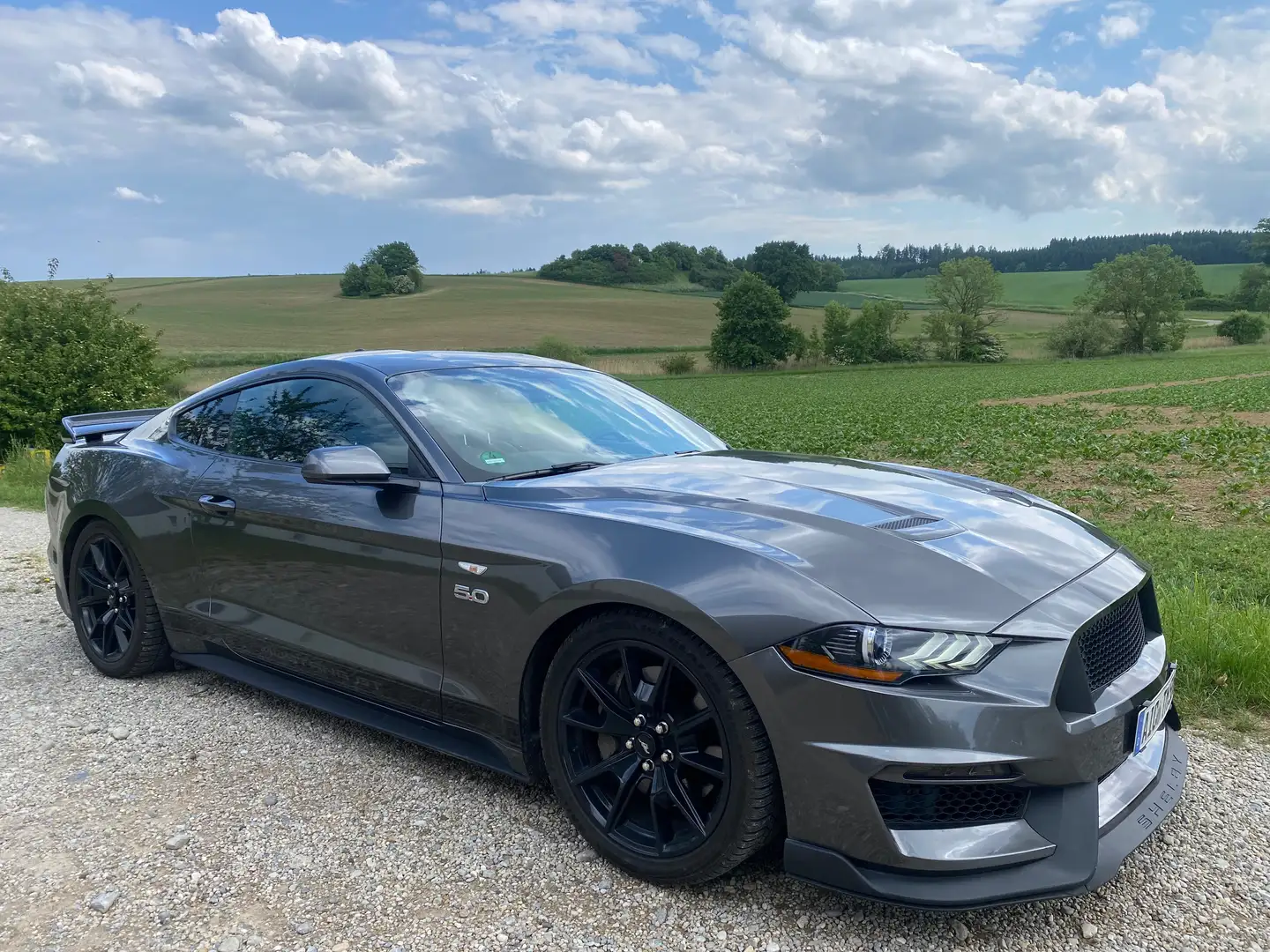 Ford Mustang GT V8, Schalter, Navi, SHZ, 55 Years Edition Grau - 1