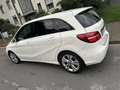 Mercedes-Benz B 220 d 4Matic 7G-DCT Edition - thumbnail 12