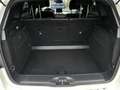 Mercedes-Benz B 220 d 4Matic 7G-DCT Edition - thumbnail 6