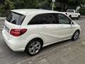 Mercedes-Benz B 220 d 4Matic 7G-DCT Edition - thumbnail 5