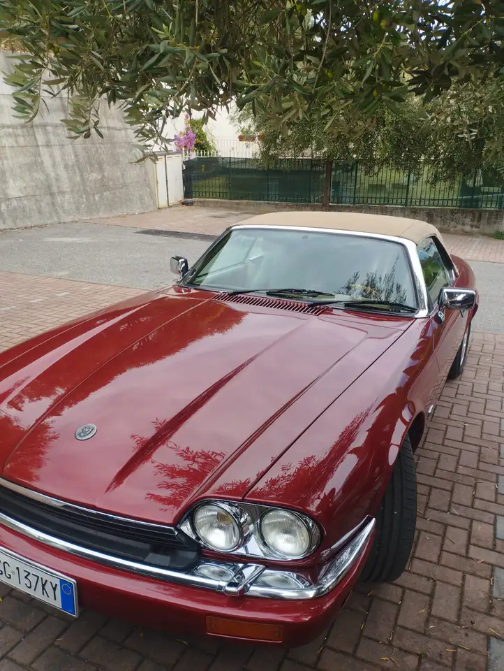 Jaguar XJ40 Cabrio, foto 4