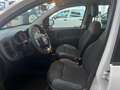 Fiat Panda 1.2 EasyPower Easy - DISTR. FATTA A 140.000 KM Beige - thumbnail 9