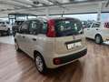 Fiat Panda 1.2 EasyPower Easy - DISTR. FATTA A 140.000 KM Beige - thumbnail 4