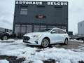 Ford Focus Titanium *SHZ*Navi*AHK*PDC*1.Hand* Weiß - thumbnail 1