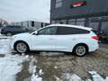 Ford Focus Titanium *SHZ*Navi*AHK*PDC*1.Hand* Weiß - thumbnail 8