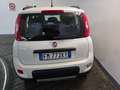 Fiat Panda Panda III 2016 4x4 1.3 mjt 16v 4x4 s Blanc - thumbnail 5