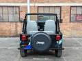 Jeep DJ5 (HERMAN BROOD) 4x4 Canvas cab. 3.8 DJ Cabriole - thumbnail 24