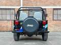 Jeep DJ5 (HERMAN BROOD) 4x4 Canvas cab. 3.8 DJ Cabriole - thumbnail 23