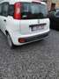 Fiat Panda Panda 1.2i 1 er propriétaire 98000 km Wit - thumbnail 6
