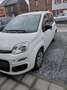 Fiat Panda Panda 1.2i 1 er propriétaire 98000 km Wit - thumbnail 2
