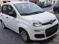 Fiat Panda Panda 1.2i 1 er propriétaire 98000 km Wit - thumbnail 1