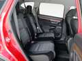 Honda CR-V 1.5 VTEC Elegance Navi 4x2 173 Rojo - thumbnail 10