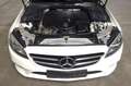 Mercedes-Benz C 220 d Aut.*AVANTGARDE/NIGHT-Paket*MultibeamLED Blanc - thumbnail 8