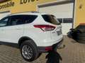 Ford Kuga Kuga 2,0 Titanium S 4x4 TDCI DPF Aut. Titanium S Blanc - thumbnail 7