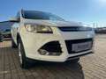 Ford Kuga Kuga 2,0 Titanium S 4x4 TDCI DPF Aut. Titanium S Blanc - thumbnail 4