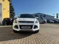Ford Kuga Kuga 2,0 Titanium S 4x4 TDCI DPF Aut. Titanium S Blanc - thumbnail 1