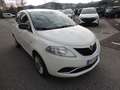 Lancia Ypsilon Ypsilon  1.2 Opening edition 69cv Wit - thumbnail 4