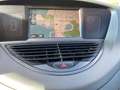 Subaru Tribeca Tribeca 3.0 Limited auto GPL pelle Grau - thumbnail 6