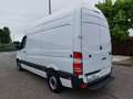 Mercedes-Benz Sprinter F37/35 314 CDI TN Furgone Exec TETTO ALTO Bianco - thumbnail 5