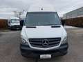 Mercedes-Benz Sprinter F37/35 314 CDI TN Furgone Exec TETTO ALTO Bianco - thumbnail 3