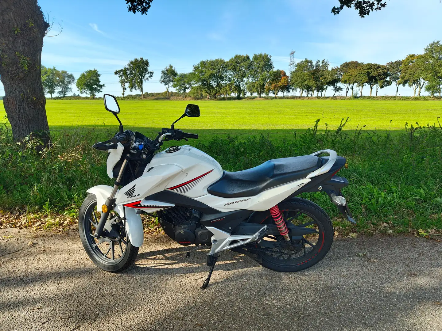 Honda CB 125 F Wit - 1