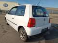 Volkswagen Lupo Basis / 1.Hand Nur 112000KM Weiß - thumbnail 7