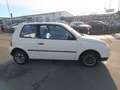 Volkswagen Lupo Basis / 1.Hand Nur 112000KM Weiß - thumbnail 4