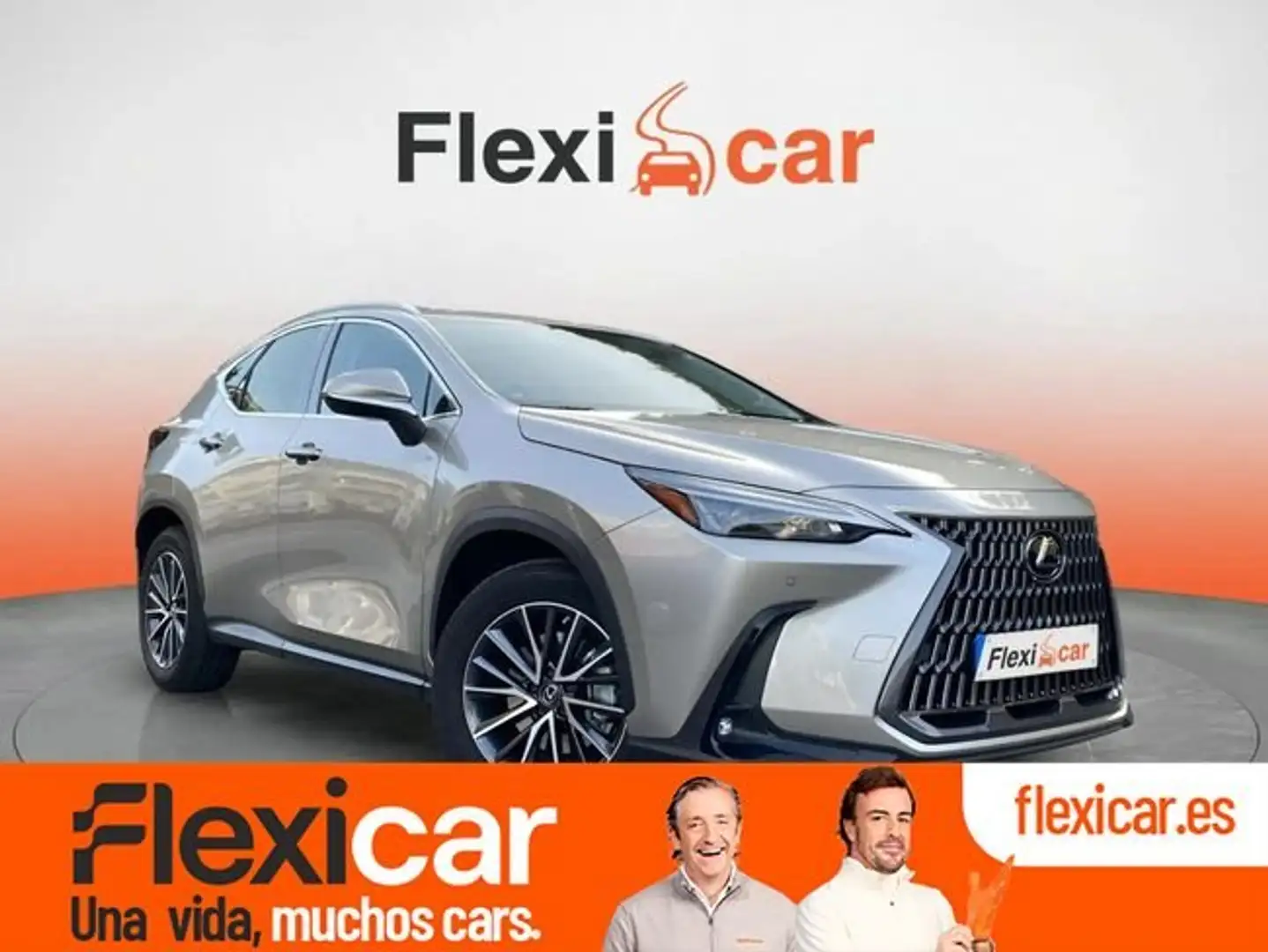 Lexus NX 300h 350h Business City 4WD Grigio - 1