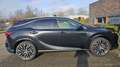 Lexus RX 350 RX 350 350h Executive Line Schwarz - thumbnail 17