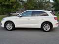 Audi Q5 50 TFSI e quattro S´Line Sport*Virtual*DSP* Weiß - thumbnail 8