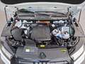 Audi Q5 50 TFSI e quattro S´Line Sport*Virtual*DSP* Weiß - thumbnail 26