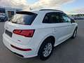 Audi Q5 50 TFSI e quattro S´Line Sport*Virtual*DSP* Weiß - thumbnail 5