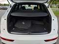 Audi Q5 50 TFSI e quattro S´Line Sport*Virtual*DSP* Weiß - thumbnail 25