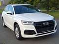 Audi Q5 50 TFSI e quattro S´Line Sport*Virtual*DSP* Weiß - thumbnail 3